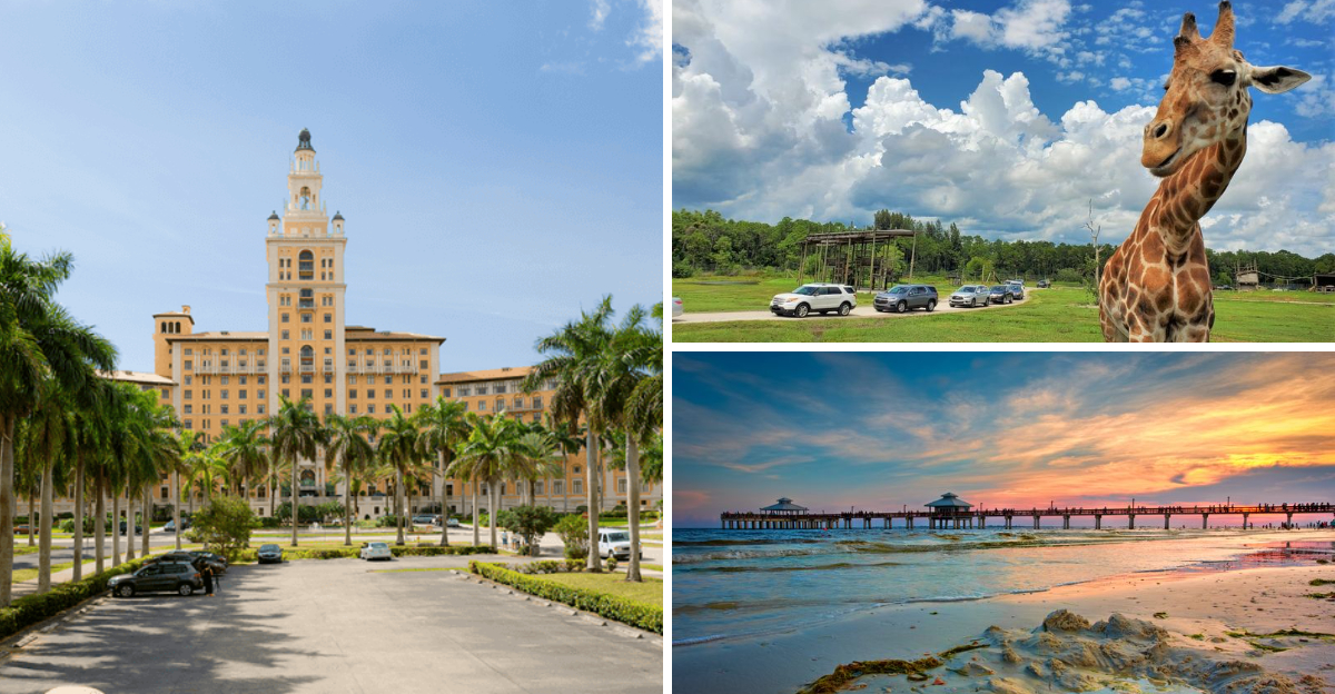 Florida Tourist Traps That Dont Live Up To The Hype - Decor Hint