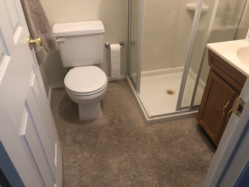 Carpeted Bathrooms and Kitchens