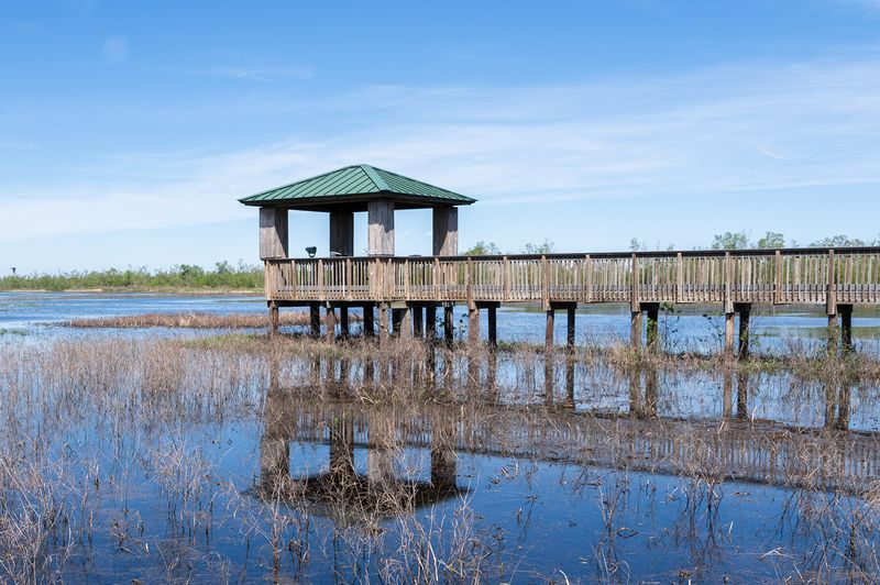 Cameron Prairie National Wildlife Refuge