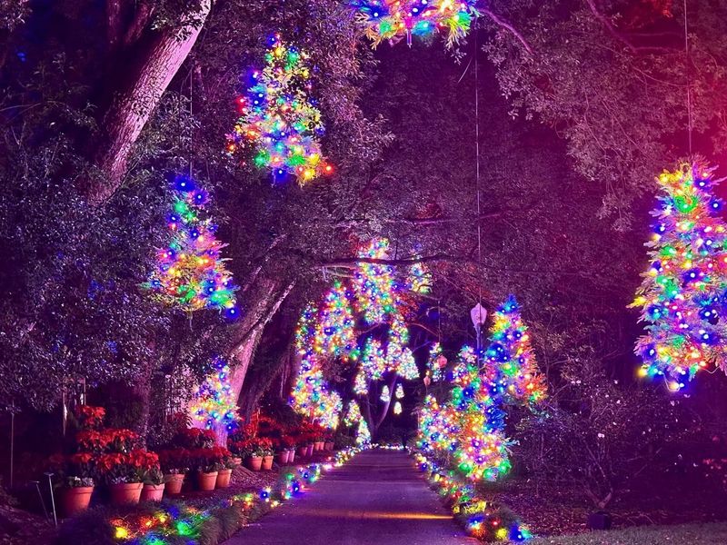 Orlando's 50 Festive Holiday Events You Can Attend For Free - Decor Hint Community Center Holiday Parties