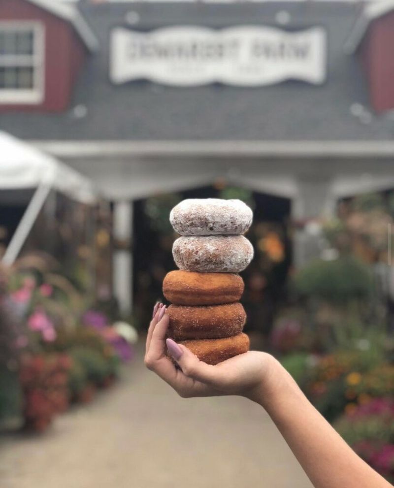 Fresh, Warm, And Sweet: NJ Cider-Donut Stands You'll Love - Decor Hint Demarest Farms
