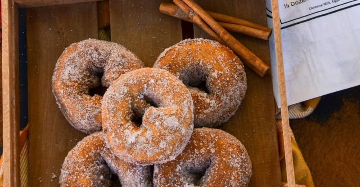 Fresh Warm And Sweet NJ Cider Donut Stands Youll Love - Decor Hint