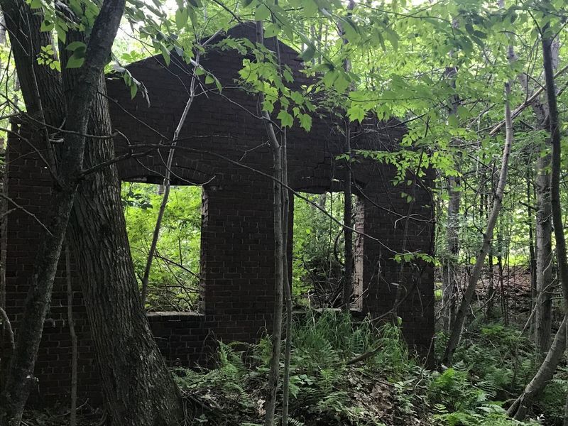 15 Forgotten Pennsylvania Towns That Tell Haunting Stories Of The Past - Decor Hint Wehrum: Lost in the Woods