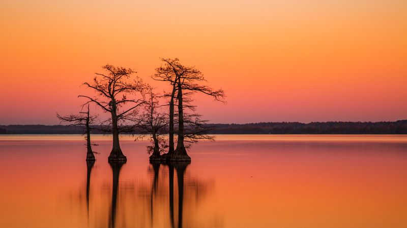 16 Tennessee Spots Travelers Love For Their Peace And Quiet - Decor Hint Reelfoot Lake