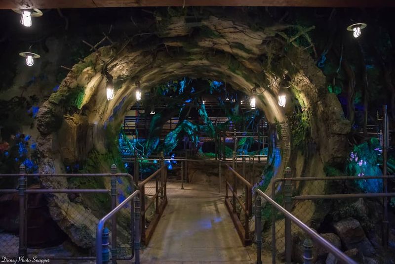 Top Theme Parks In Florida For Adults - Decor Hint Disney's Animal Kingdom