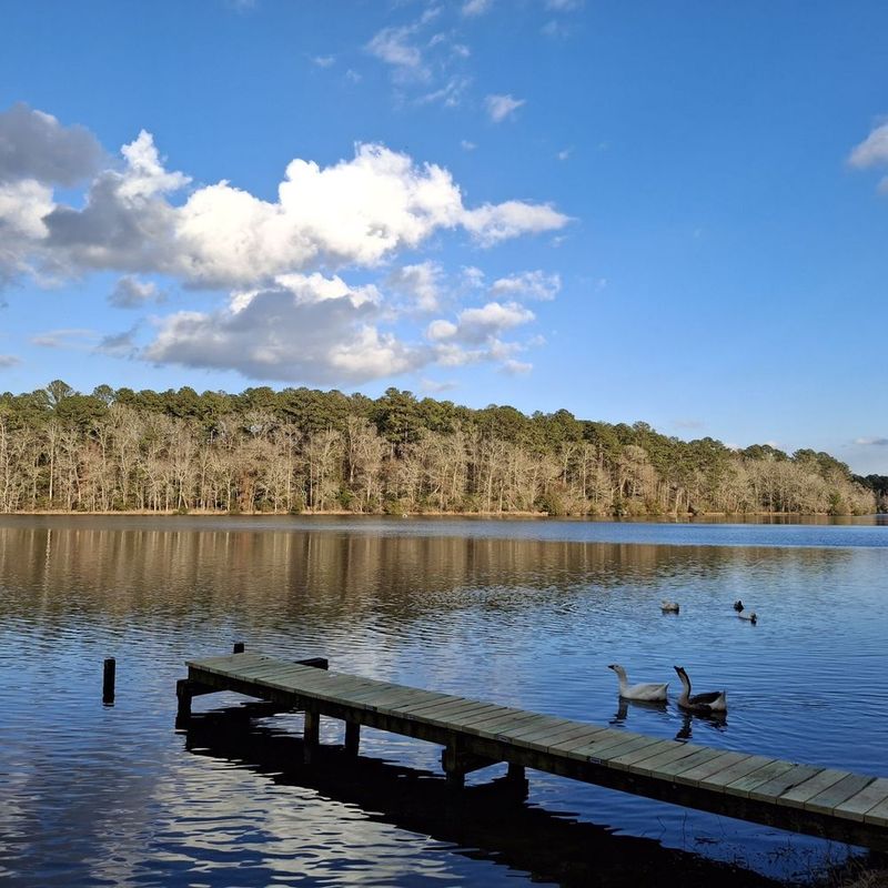 Alabama Lakes So Quiet And Beautiful Only Locals Enjoy Them - Decor Hint Houston Lake