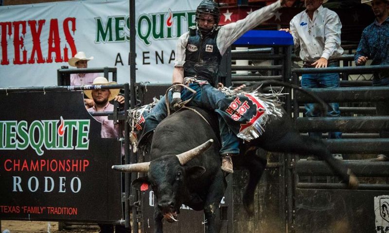 20 Texas Winter Festivals You Can't Miss In 2025 - From Hill Country Lights To Holiday Rodeos - Decor Hint Mesquite Championship Rodeo Holiday Edition