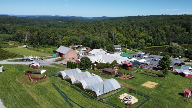 11 Pennsylvania Grocery Stores Known For Quality Meat And Fresh Cuts - Decor Hint Weaver's Orchard Farm Market