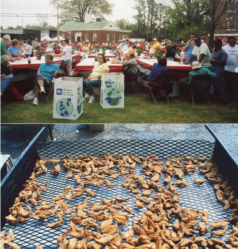 World Catfish Festival
