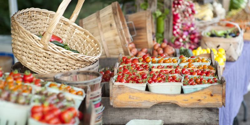 Traverse City Open Space