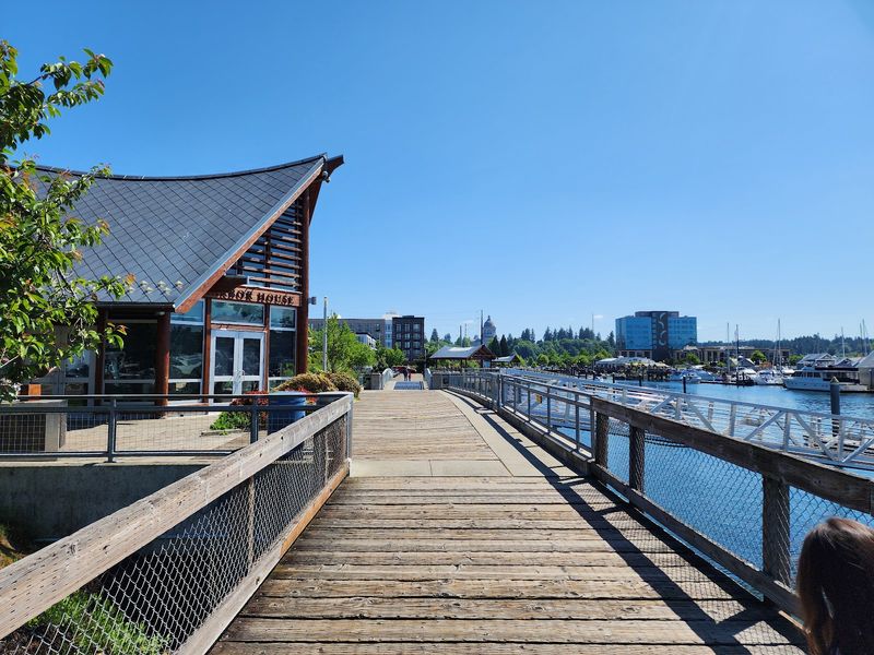 Olympia Experiences That Impress: Nature, Culture, And Hidden Gems To Explore - Decor Hint Squaxin Park