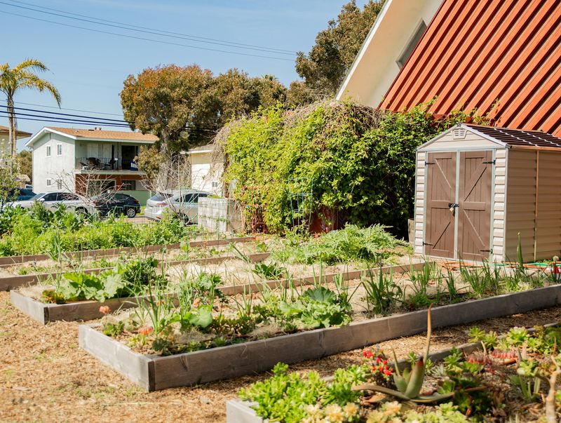 Donate To Community Gardens