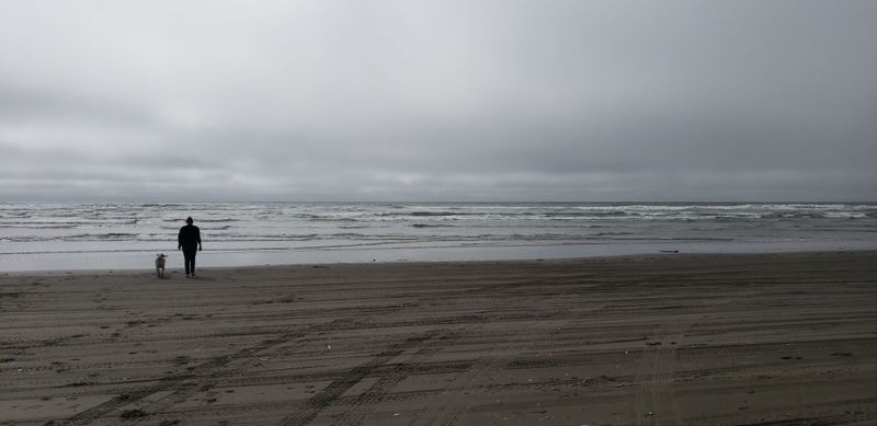 9 Washington Coastal Towns Locals Say Are Packed With Tourists - Decor Hint Pacific Beach & Tokeland