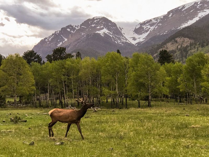 Rocky Mountain National Park