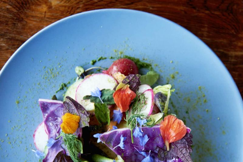 Vermont Seafood Restaurants Bringing Coastal Flavor To The Heart Of The Green Mountains - Decor Hint Misery Loves Co.