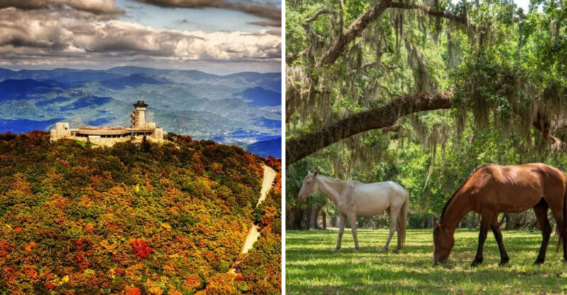 Hidden Gems In Georgia You Didn’t Know About