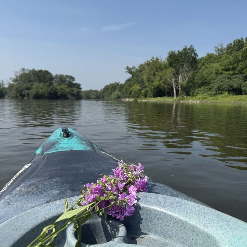 Boating Adventures On Calm Waters