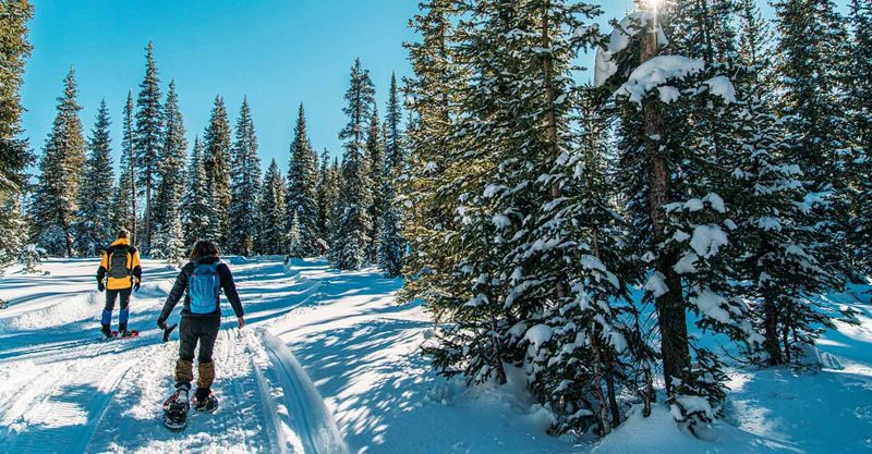 Snowshoeing Adventures Through Quiet Winter Forests