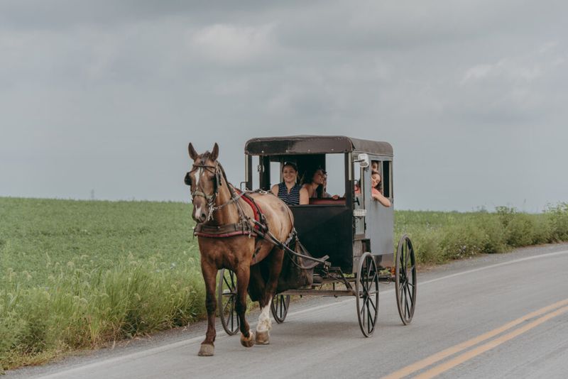 Horse-Drawn Buggies on Country Roads
