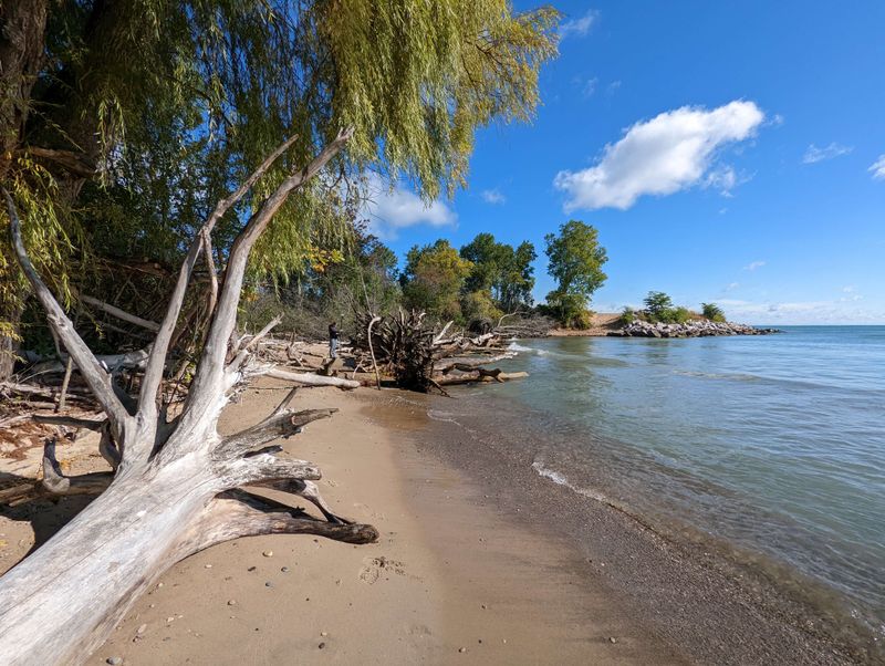 National Parks In Illinois That Locals Prefer To Keep Quiet - Decor Hint Illinois Beach State Park