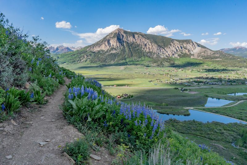 Crested Butte Wildflower Hikes