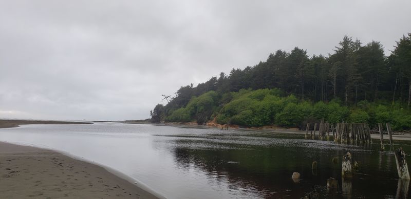 9 Washington Coastal Towns Locals Say Are Packed With Tourists - Decor Hint Moclips