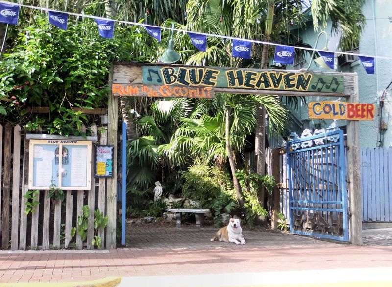 15 Small-Town Florida Restaurants With Timeless Charm - Decor Hint Blue Heaven