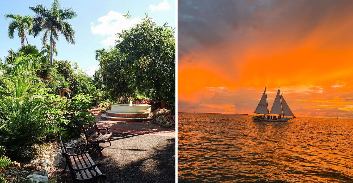 Insider Key West Adventures A Floridian Says You Shouldnt Skip - Decor Hint