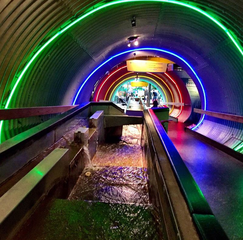 Brooklyn Children's Museum