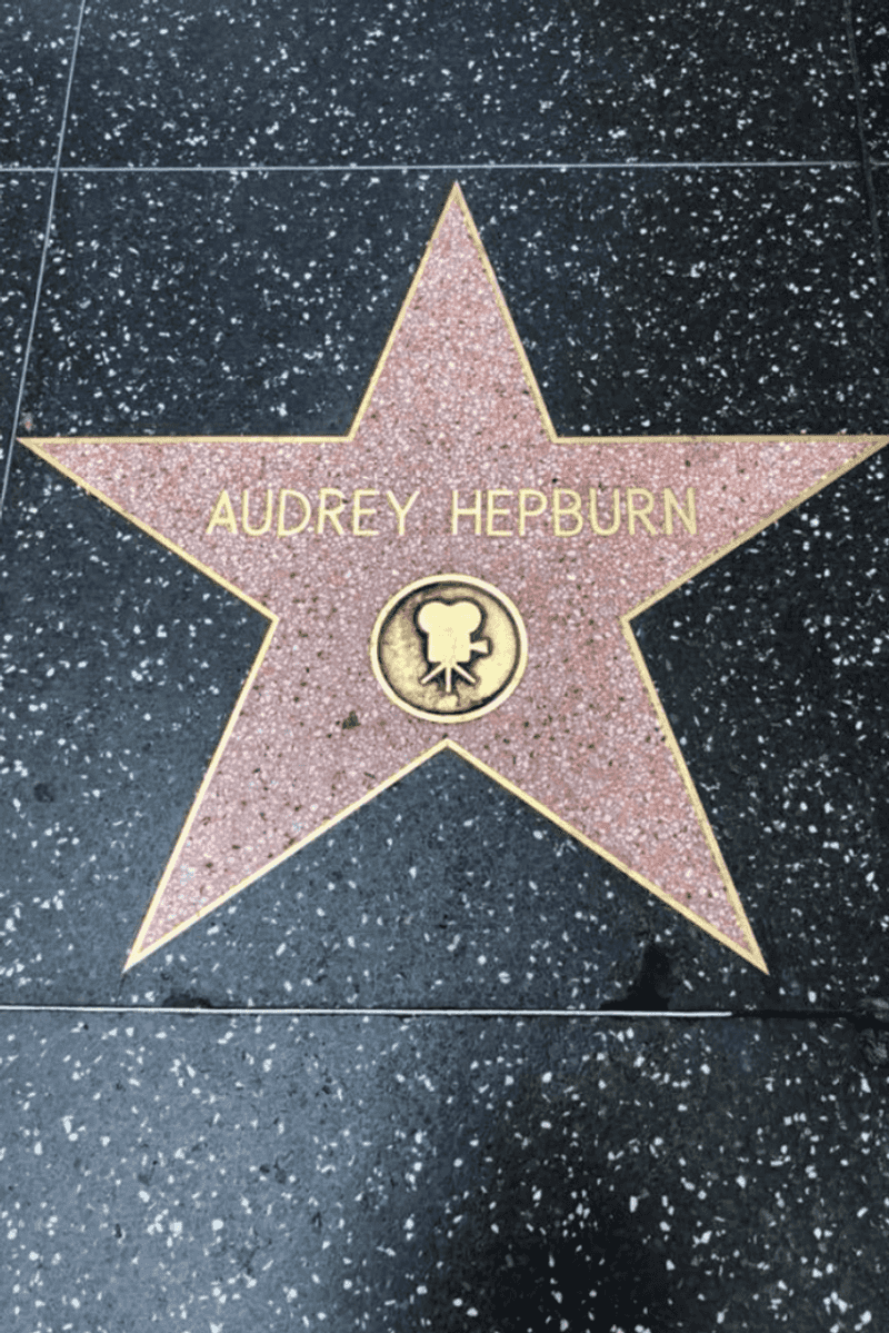 Top Things To Do In Southern California - Decor Hint Hollywood Walk of Fame