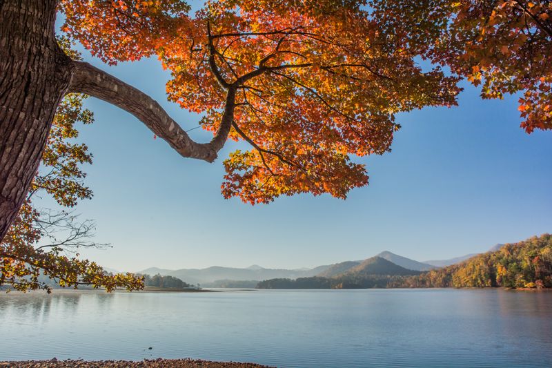 12 Secret Georgia Lake Communities Turning Into Real Estate Gold - Decor Hint Lake Chatuge