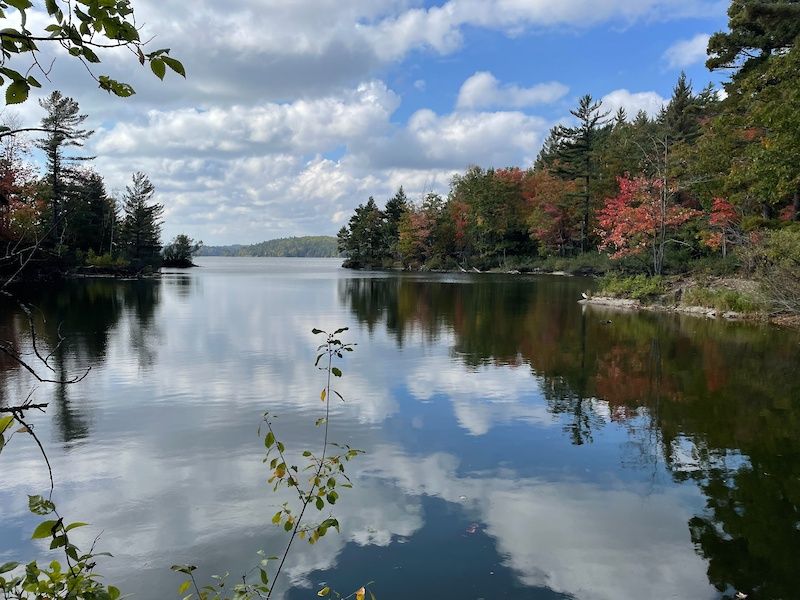 Michigan's Overlooked Upper Peninsula City With Lake Views And A Quirky Charm - Decor Hint Al Quaal Recreation Area Trails