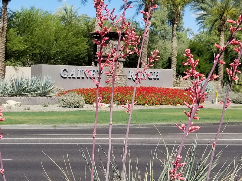 Gainey Ranch, Scottsdale