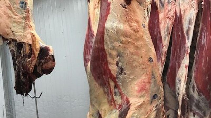 Hidden Gem Grocery Stores In Nevada That Keep Meat Lovers Coming Back For More - Decor Hint Minden Meat Locker