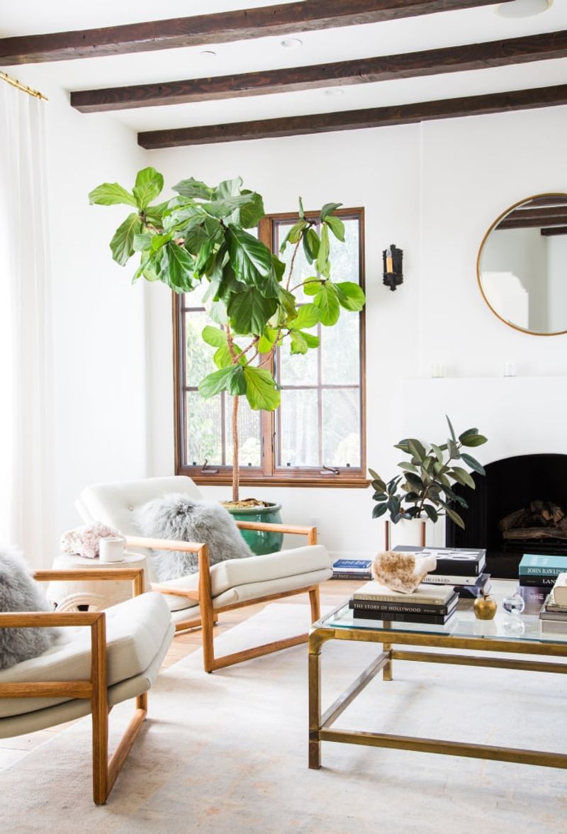 Bold Maximalist Decor Ideas That'll Make Your California Home Pop Without The Chaos - Decor Hint Fill Empty Corners with Oversized Plants