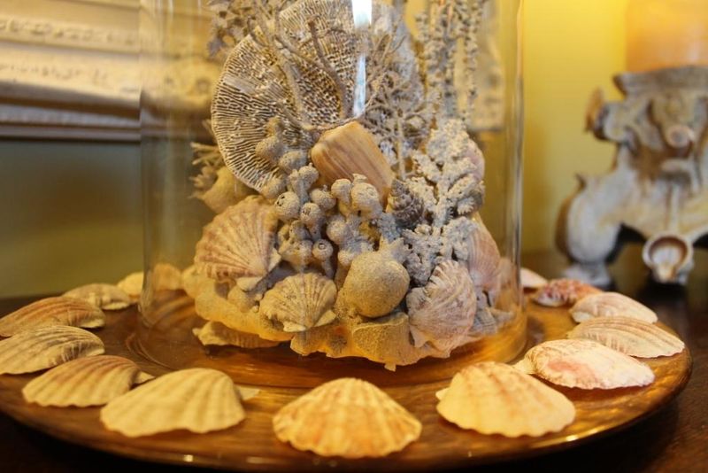 Incorporate Seashell And Coral Decor