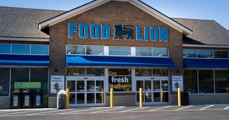 Food Lion Summerville