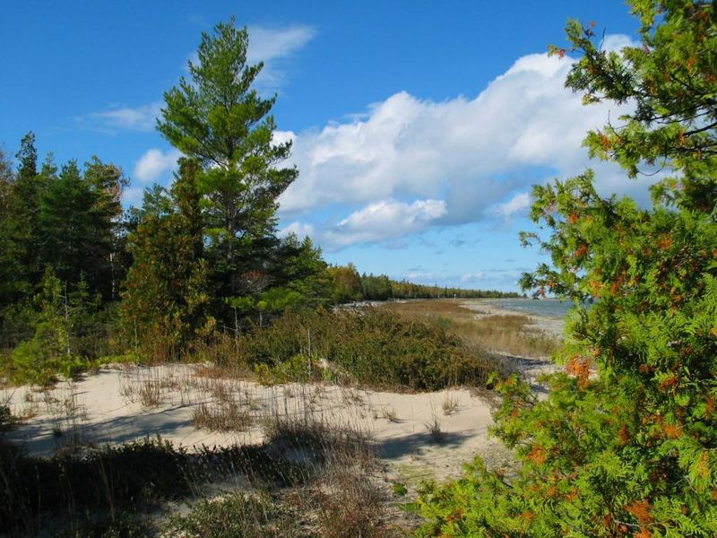 Thompson's Harbor State Park