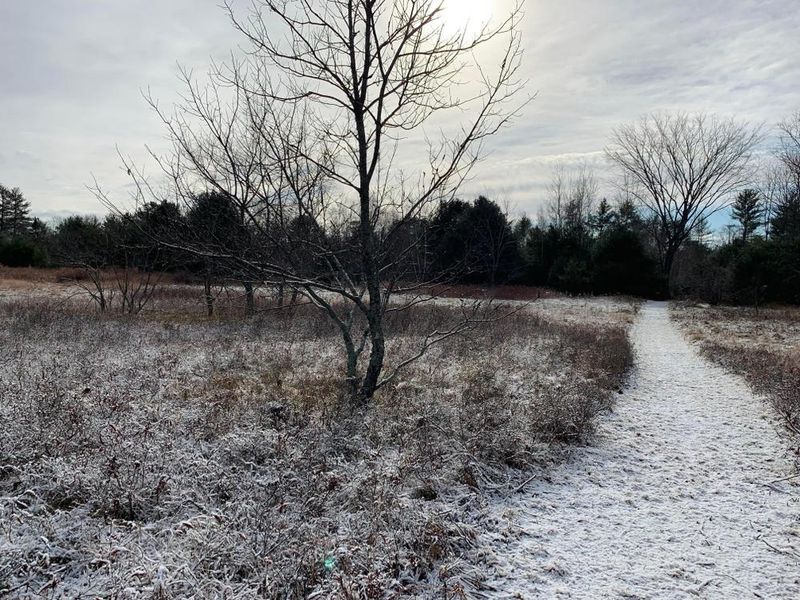 Maine's Snowiest Cities You Need To Visit This Winter - Decor Hint Steep Falls