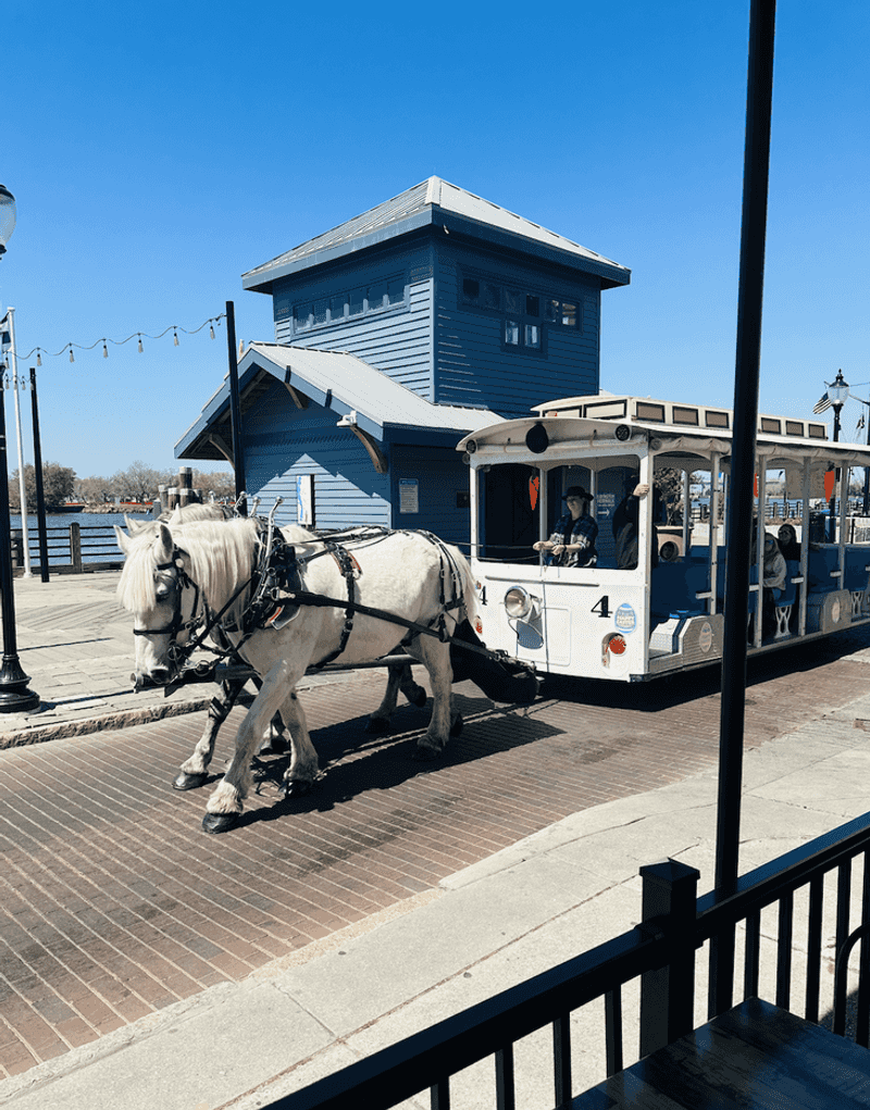 Horse-Drawn Carriage Rides