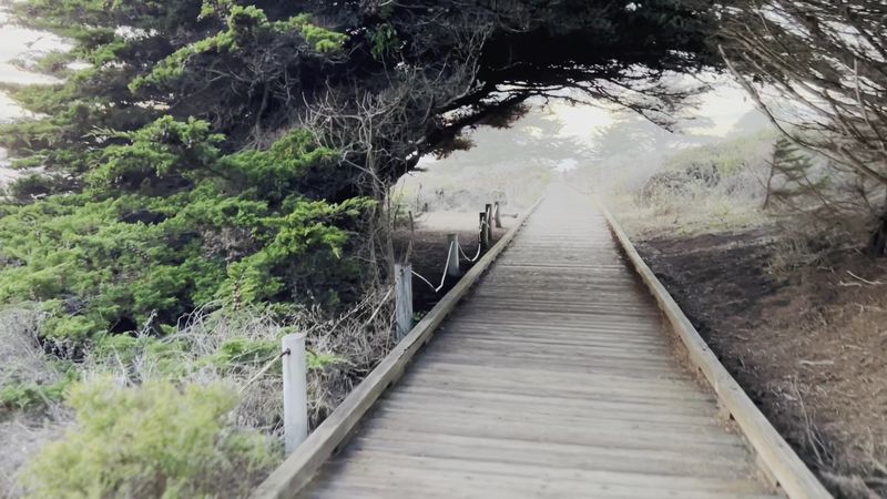 This Coastal California Grill Offers Unlimited Seafood And Unbeatable Scenery - Decor Hint Proximity To Coastal Attractions And Exploration