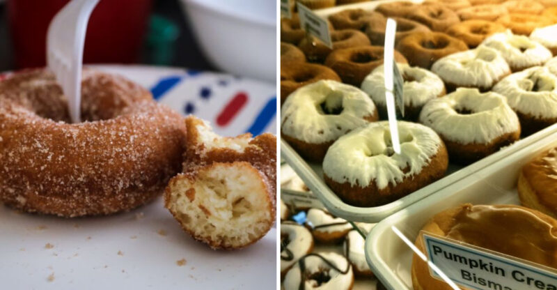 Local Michigan Donut Shops That Surprised Me On A Small-Town Road Trip