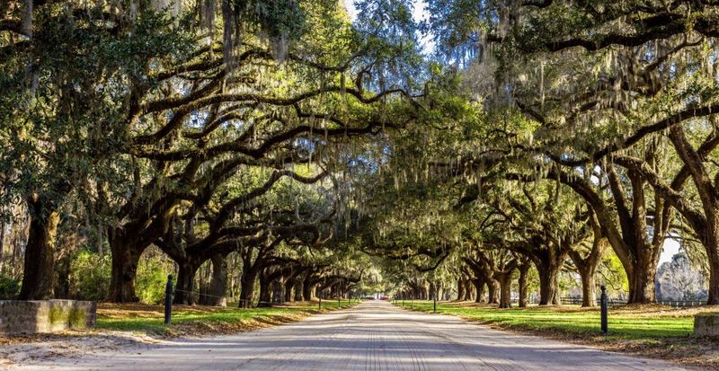 26 Reasons Charleston Might Be The South's Most Captivating City - Decor Hint Boone Hall Plantation's Avenue of Oaks