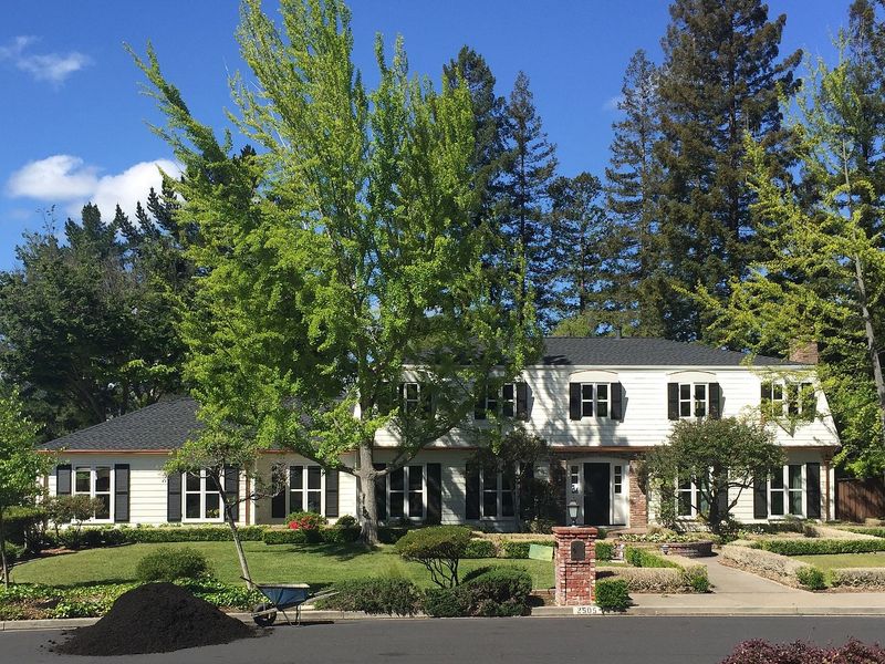 18 Dreamy California Suburbs To Live In With A Bay Area Favorite At #1 - Decor Hint Alamo