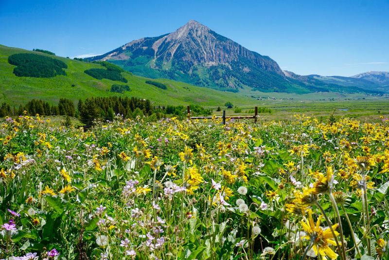 Crested Butte