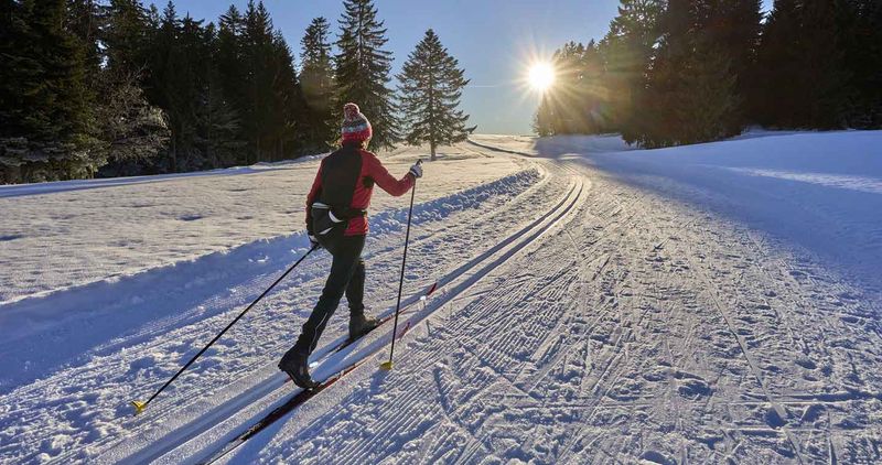 Cross-Country Skiing Trails That Welcome Beginners