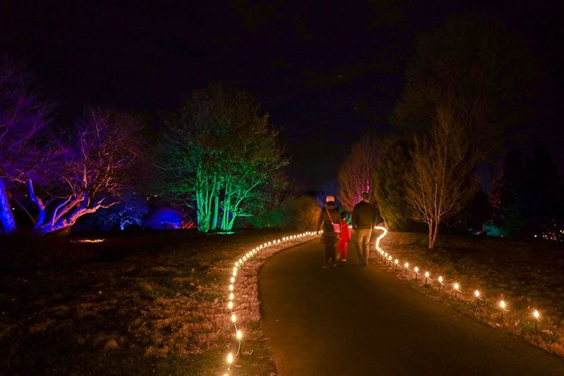 Cedar Point HalloWeekends