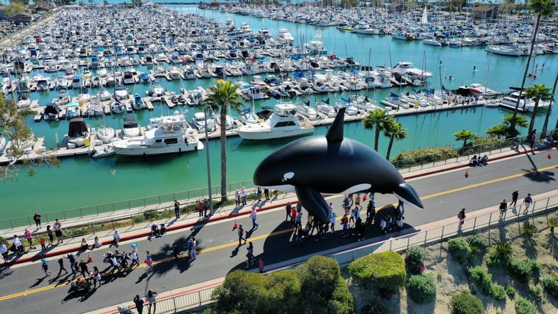 Dana Point Activities Only A California Native Would Recommend - Decor Hint Festival Of Whales Celebration