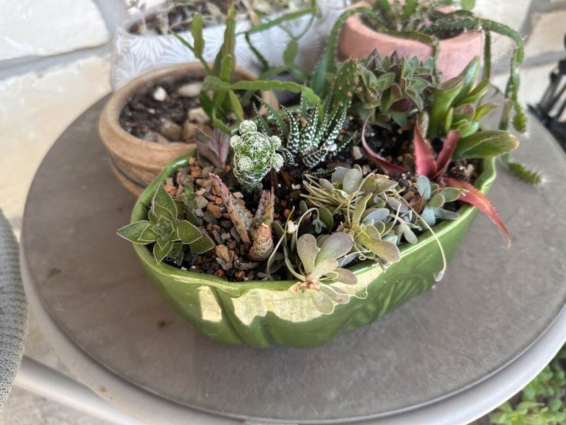 Retro Ceramic Planters (Mid-Century)