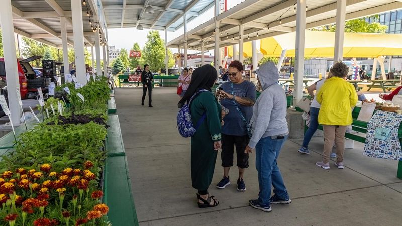 Bay City Farmers Market